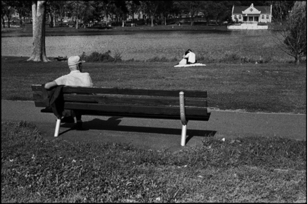 Loring Park