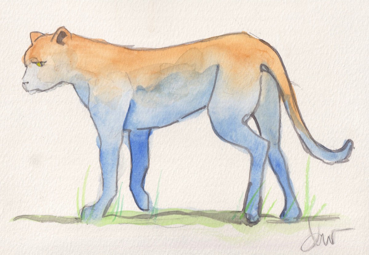 Big cat, watercolor